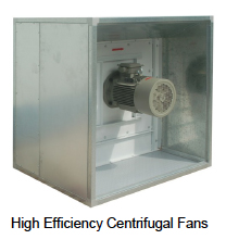 Centrifugal Fans